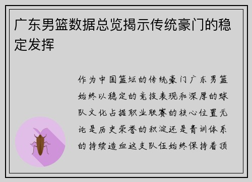 广东男篮数据总览揭示传统豪门的稳定发挥