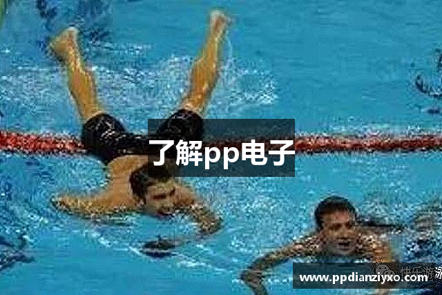 了解pp电子